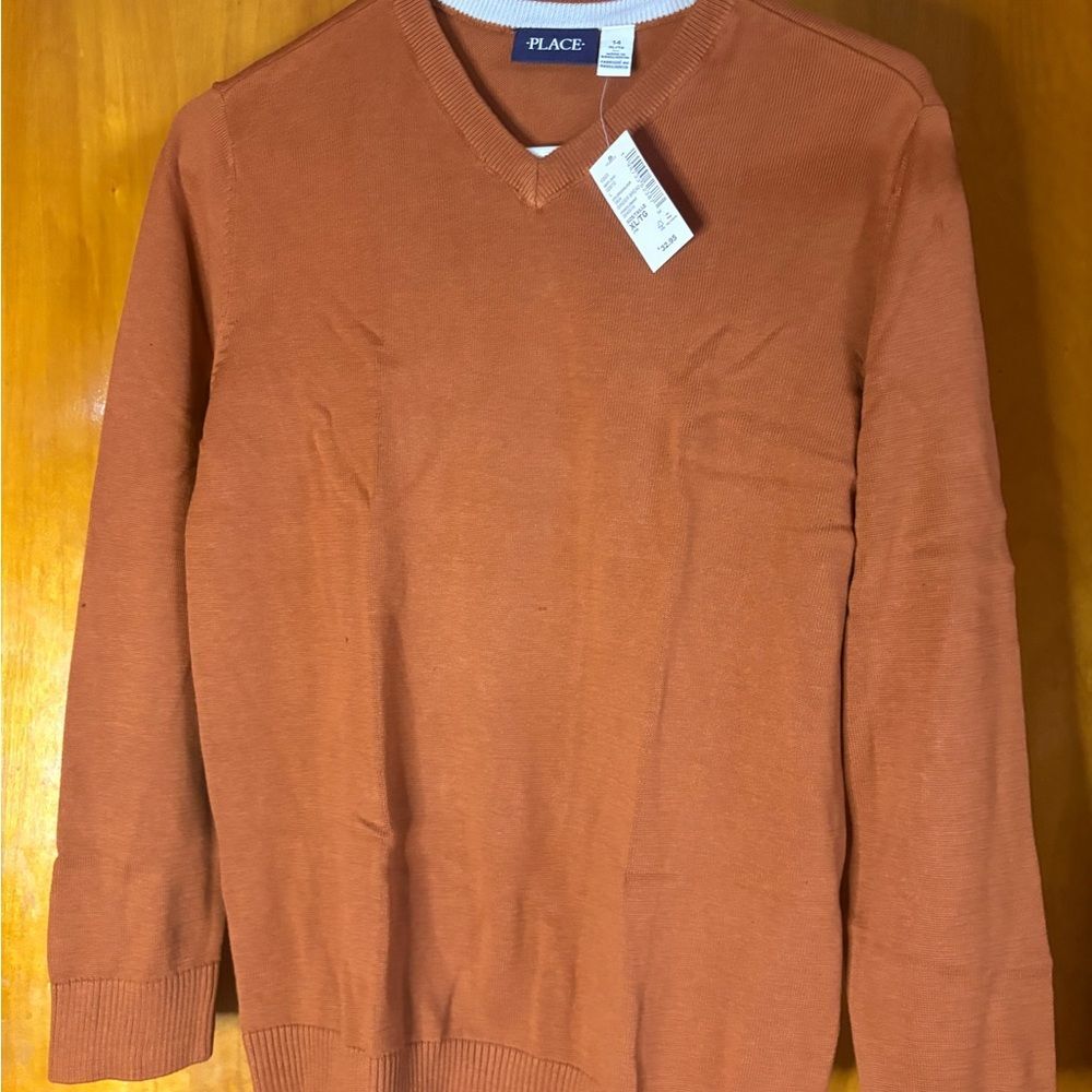 Children's Place Boys V-Neck Sweater in Warm Rust 14/XL